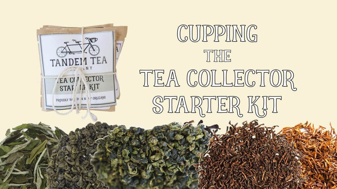 Cupping Each Tea Type with the Tea Collector Starter Kit